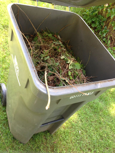 GrassSeed_bin